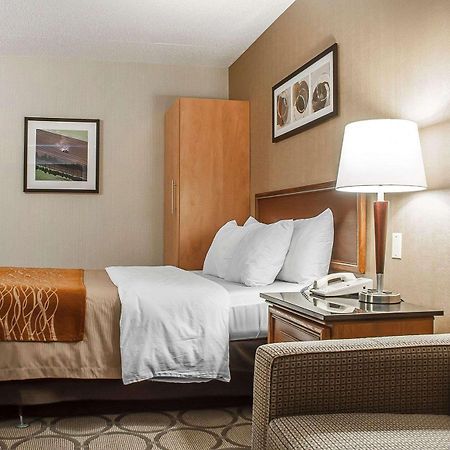 Comfort Inn Simcoe Extérieur photo
