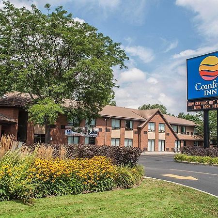 Comfort Inn Simcoe Extérieur photo