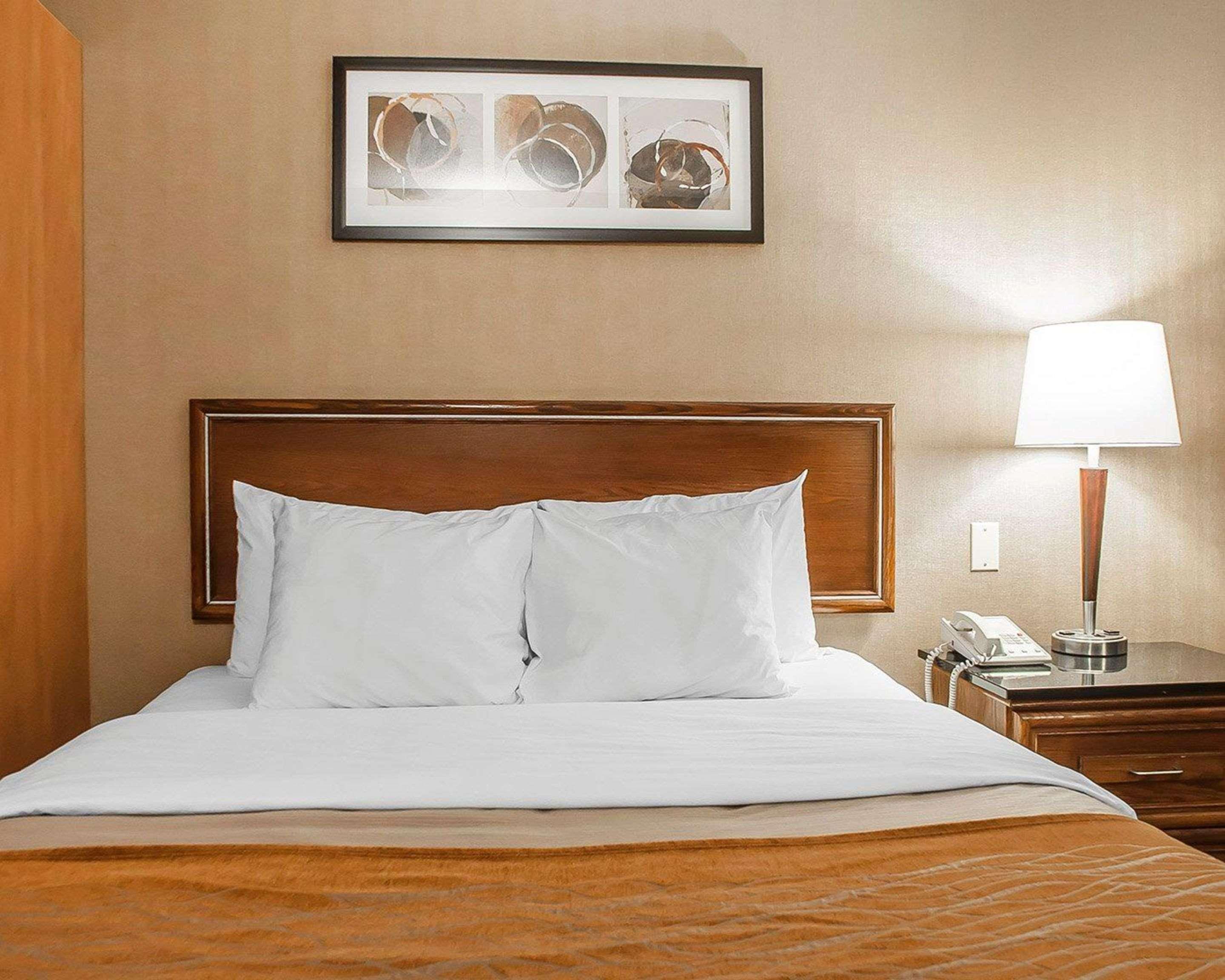 Comfort Inn Simcoe Extérieur photo