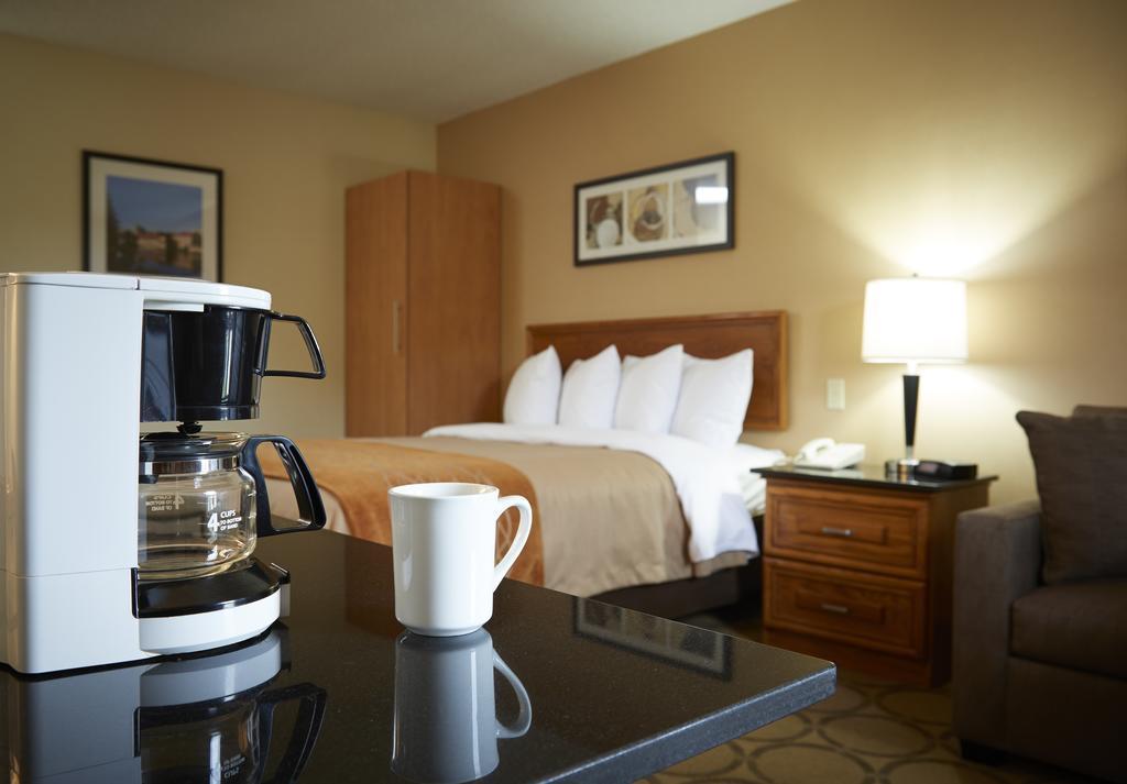 Comfort Inn Simcoe Extérieur photo