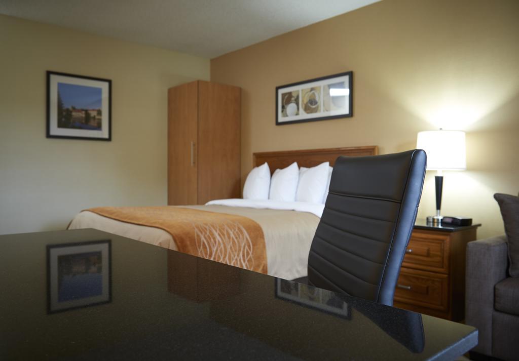 Comfort Inn Simcoe Extérieur photo