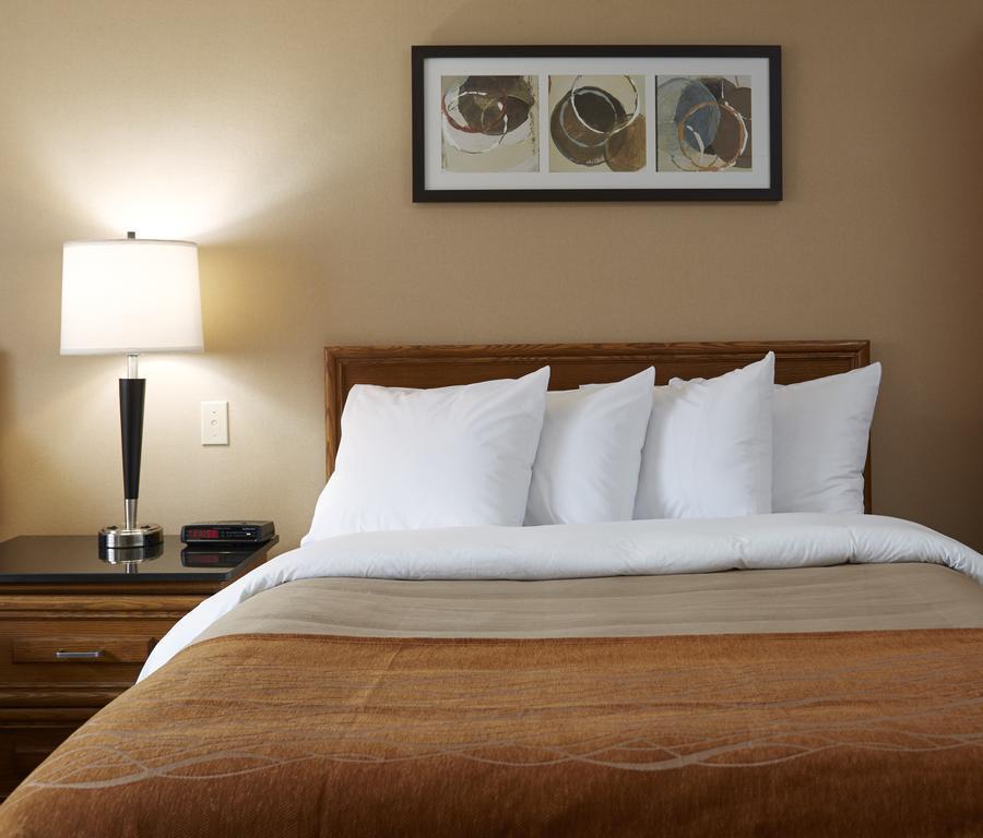 Comfort Inn Simcoe Extérieur photo