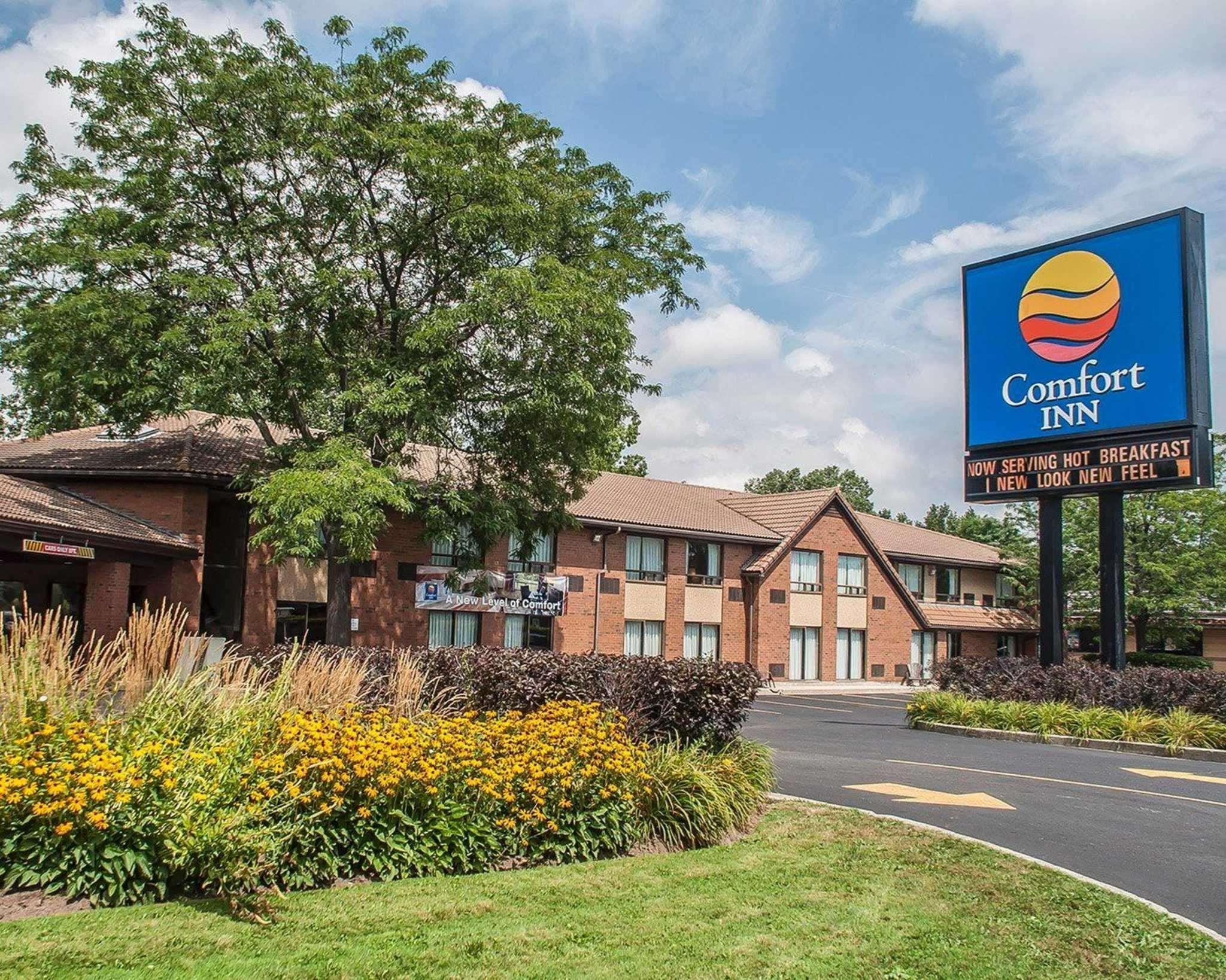 Comfort Inn Simcoe Extérieur photo