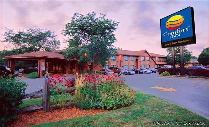Comfort Inn Simcoe Extérieur photo